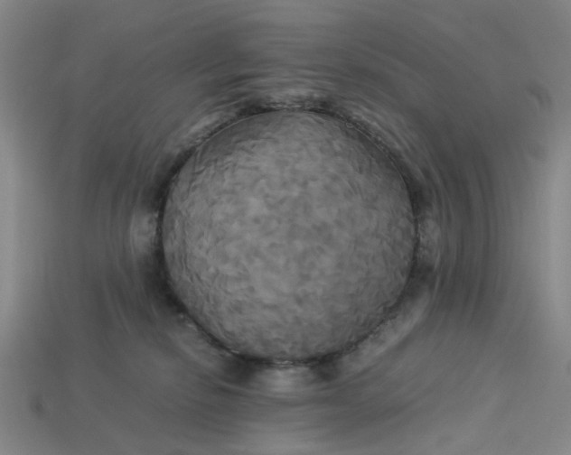 X0000113250278200910011352