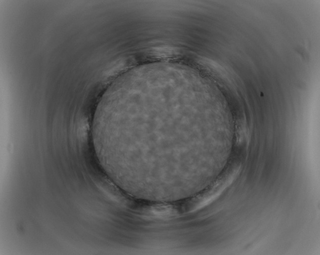 X0000113250279200910011352