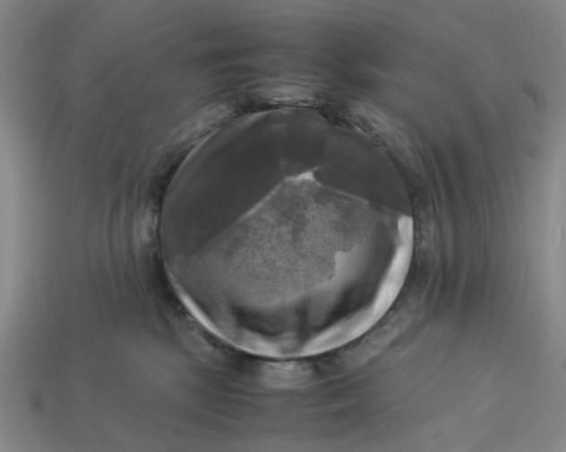 X0000113250281200910011352