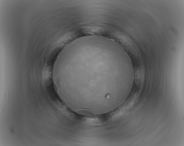 X0000113250284200910011352