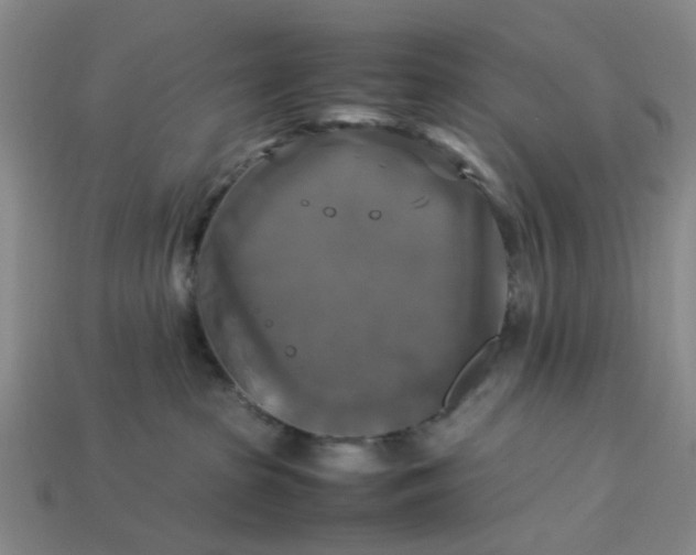 X0000113250285200910011352