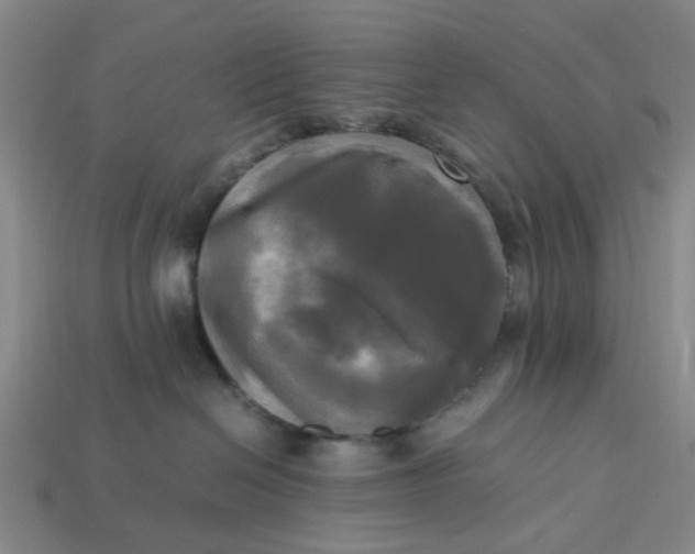 X0000113250286200910011352