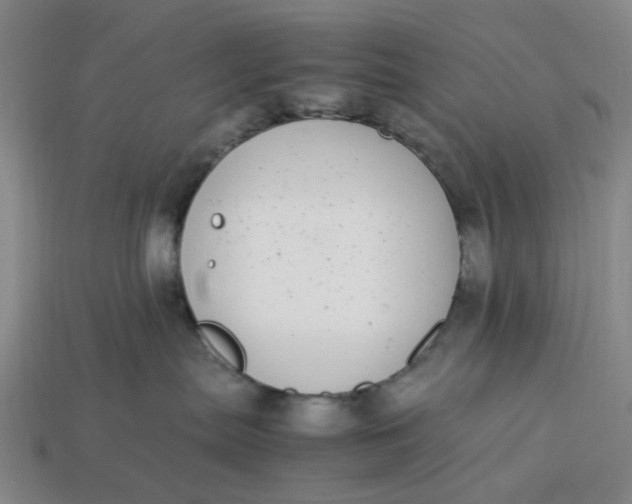 X0000113250287200910011352