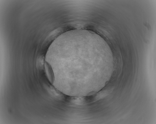 X0000113250288200910011352