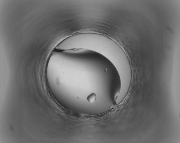 X0000113250289200910011352