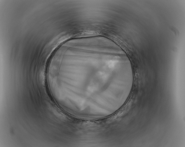 X0000113250290200910011352