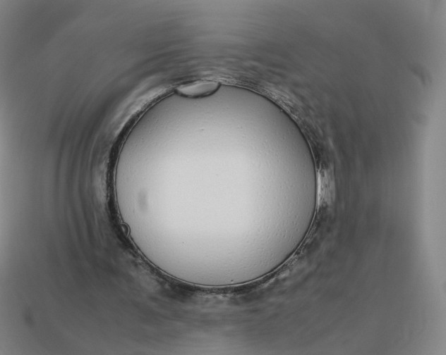 X0000113250291200910011352