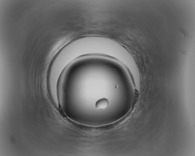 X0000113250293200910011352