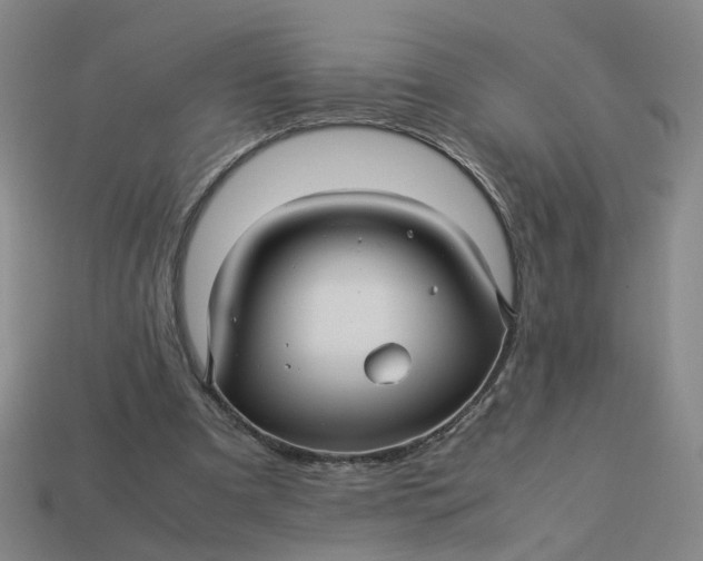 X0000113250297200910011352