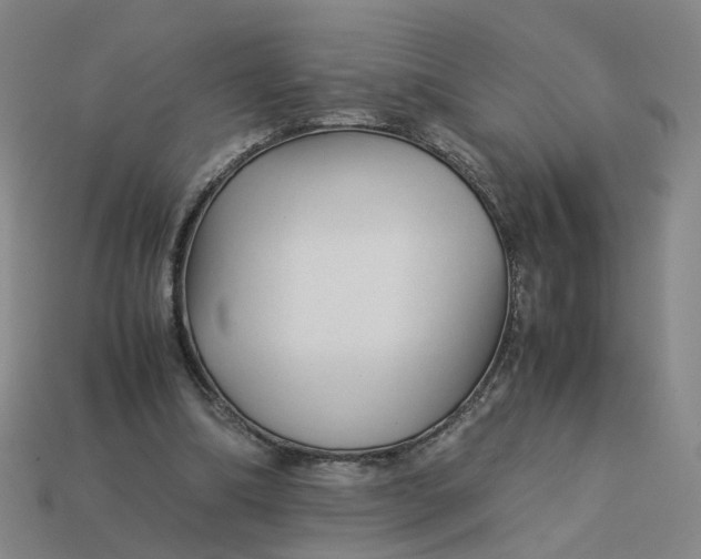 X0000113250298200910011352