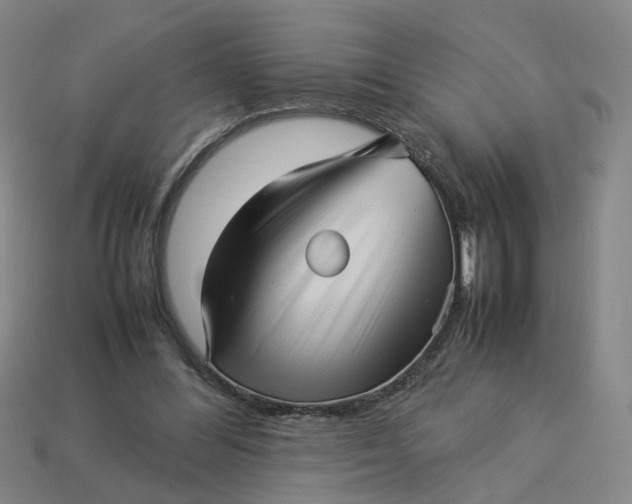 X0000113250300200910011352