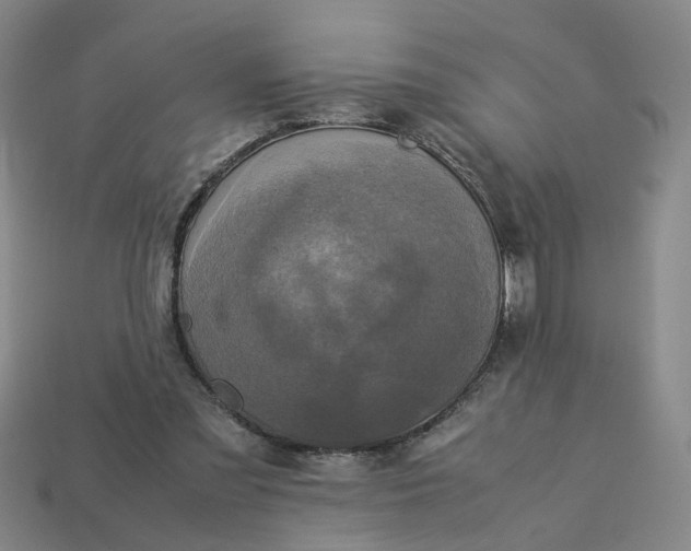 X0000113250301200910011351