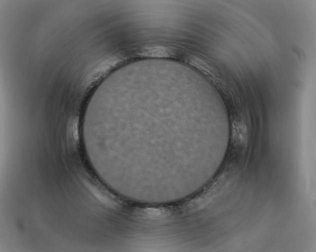 X0000113250302200910011351