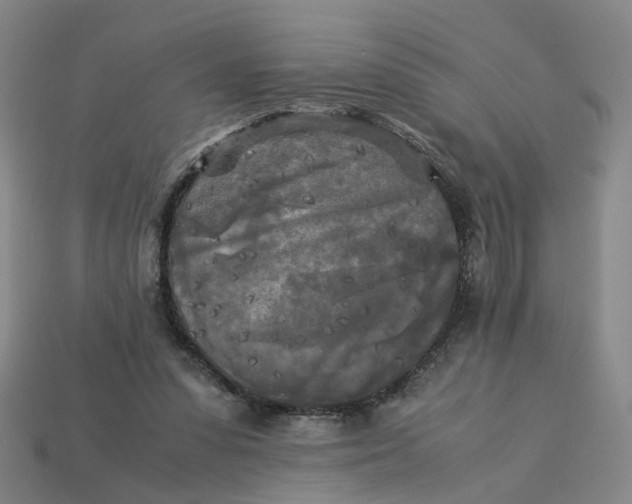 X0000113250303200910011351