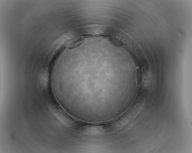 X0000113250304200910011351