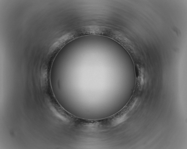 X0000113250306200910011351