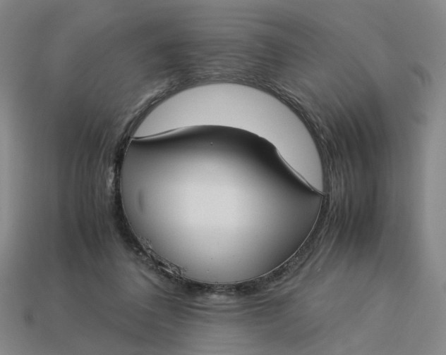 X0000113250308200910011351