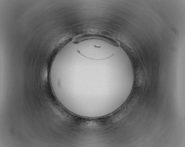 X0000113250310200910011351