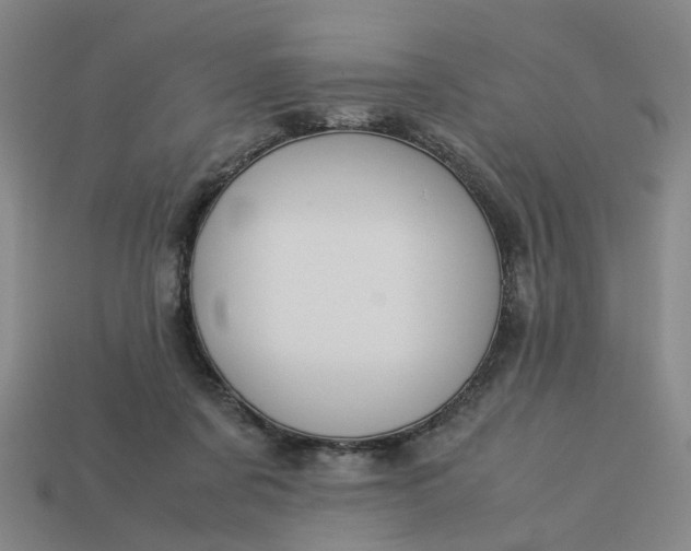 X0000113250311200910011351