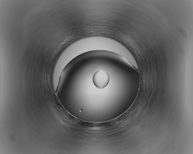 X0000113250312200910011351