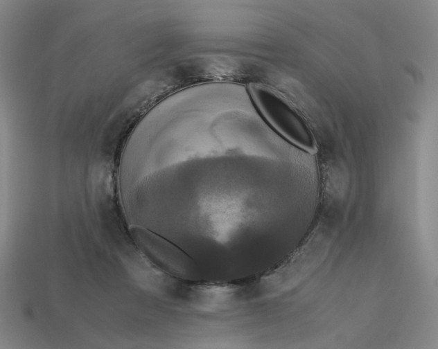 X0000113250313200910011351