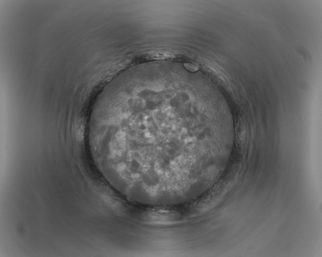 X0000113250315200910011351