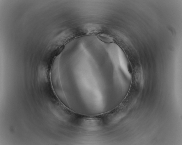 X0000113250316200910011351