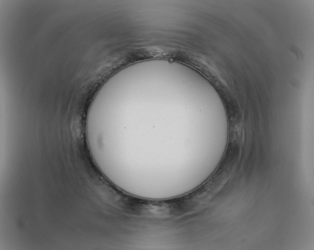 X0000113250317200910011351