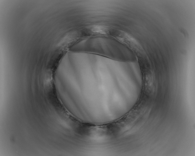 X0000113250320200910011351