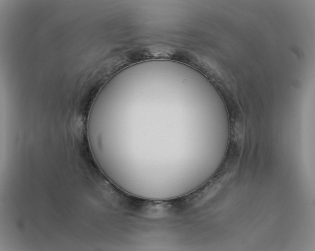 X0000113250321200910011351