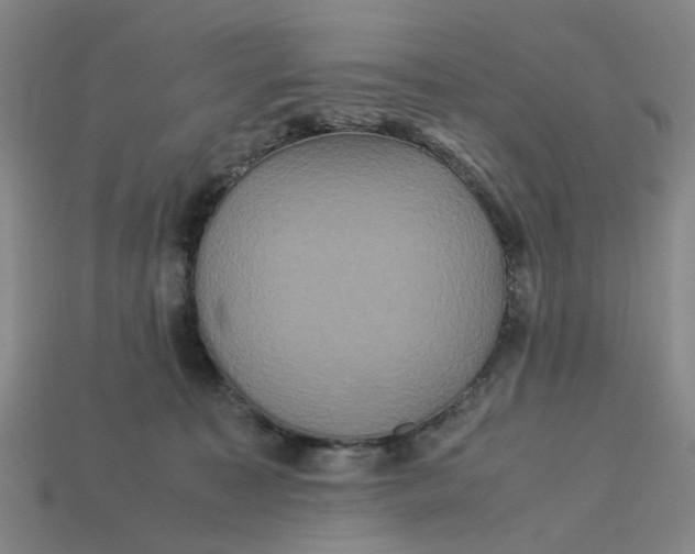 X0000113250323200910011351