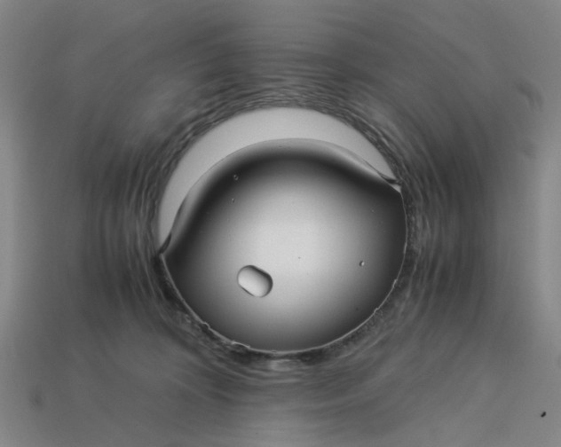 X0000113250324200910011351