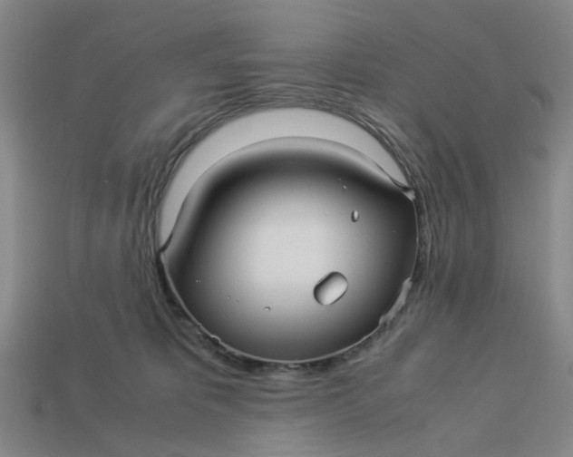 X0000113250325200910011351