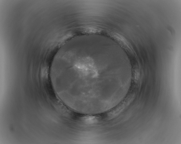 X0000113250326200910011351