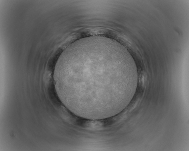 X0000113250327200910011351