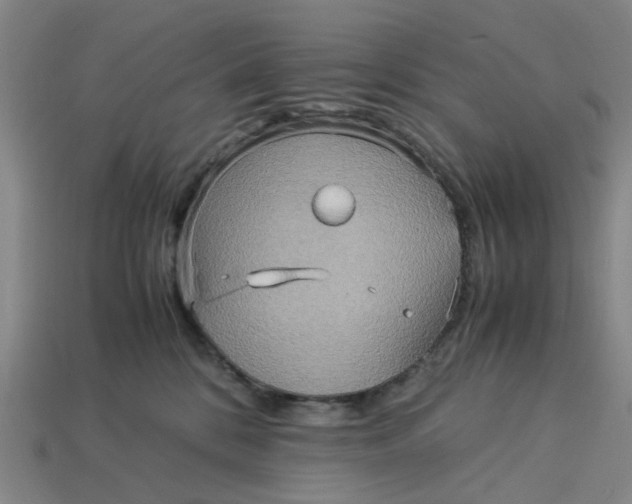 X0000113250328200910011351