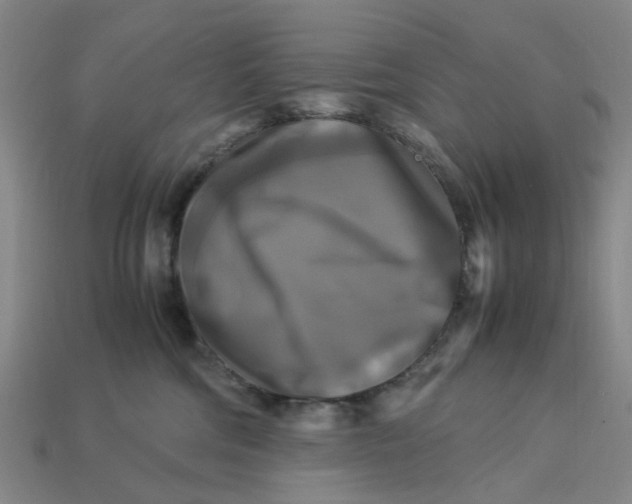 X0000113250330200910011351