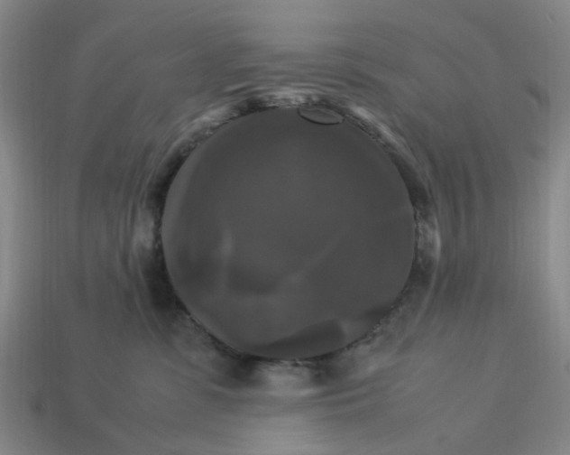 X0000113250331200910011351