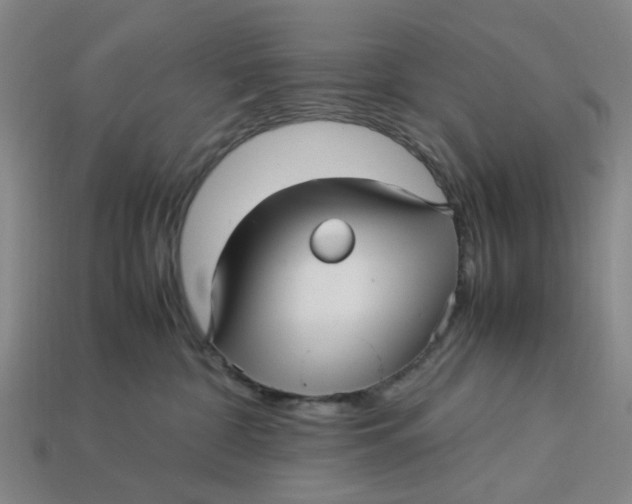 X0000113250332200910011351