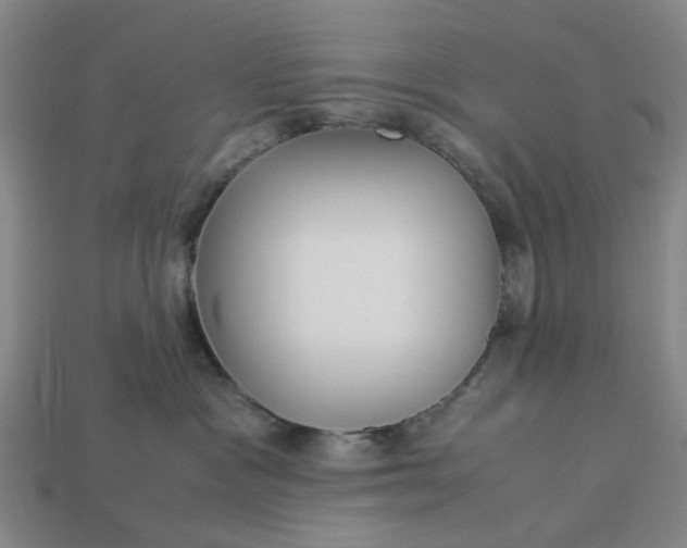 X0000113250333200910011351