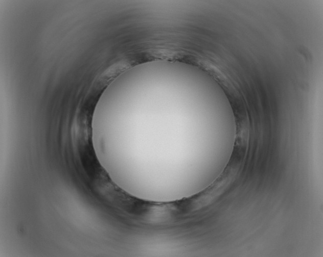 X0000113250334200910011351