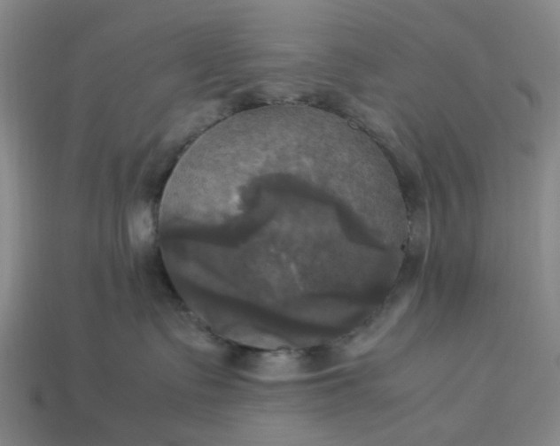 X0000113250335200910011351