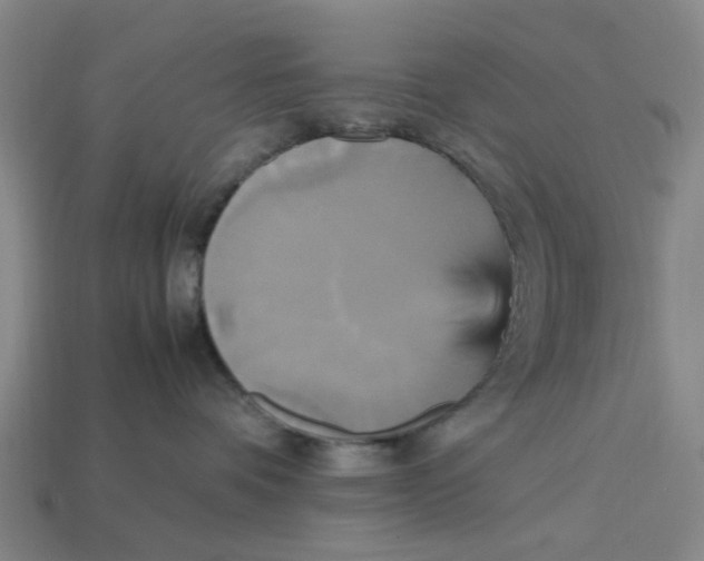 X0000113250336200910011351