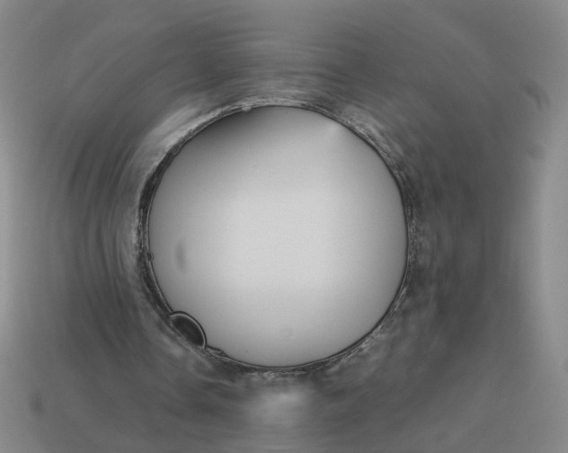 X0000113250338200910011350