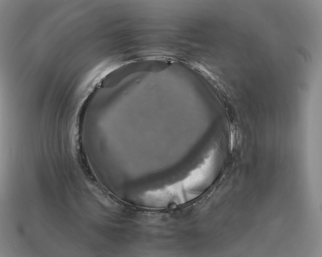 X0000113250339200910011350