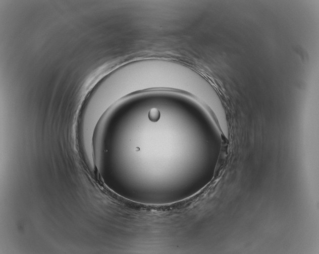 X0000113250340200910011350