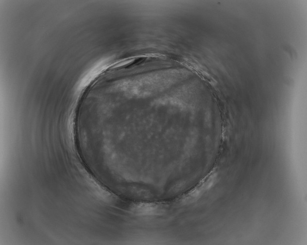 X0000113250341200910011350