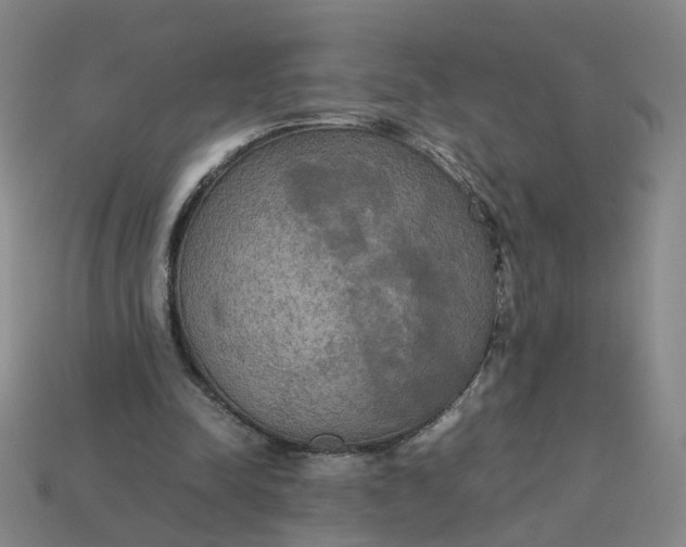 X0000113250342200910011350