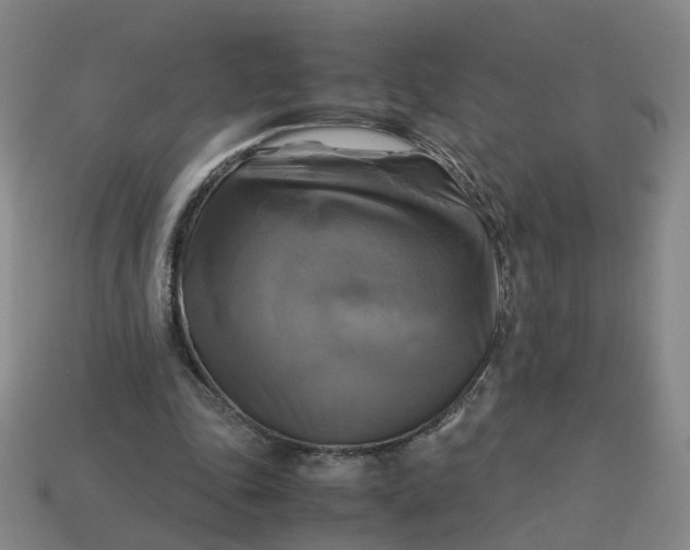 X0000113250343200910011351