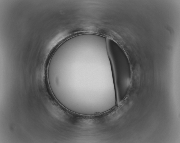 X0000113250344200910011351